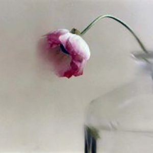 Untitled 2